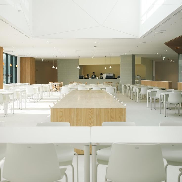 School choices for expat families in Lisbon, Portugal